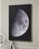 Signature Design by Ashley® Draco Wall Art-1