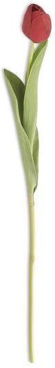 K & K Interiors Red 26.75 Inch Silk Tulip Stem-0