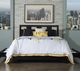 Modus Furniture Nevis Riva Espresso Queen Storage Panel Bed-1