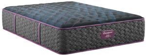 Front view of the Beautyrest® World Class™ Level Three 14.5" Pocketed Coil Medium Firm Tight Top Queen Mattress