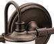 Moen® Belfield™ Oil Rubbed Bronze Two Globe Bath Light-1