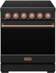 Thor Kitchen 30" Black Pro Style Electric Range with Precision Knob Control & Rose Gold Hardware-0