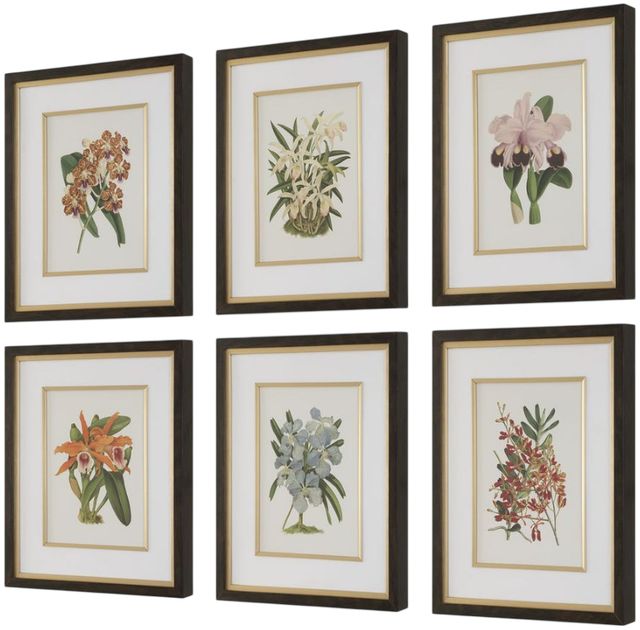 Uttermost® Orchid Botanical 6-Piece Framed Print Art Set-3