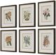Uttermost® Orchid Botanical 6-Piece Framed Print Art Set-3
