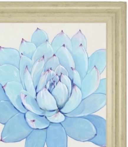 Classy Living Tim OToole Pastel Succulent II Wall Art-1