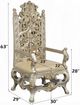 ACME Furniture Danae 2-Piece Champagne/Gold Arm Chair Set-2