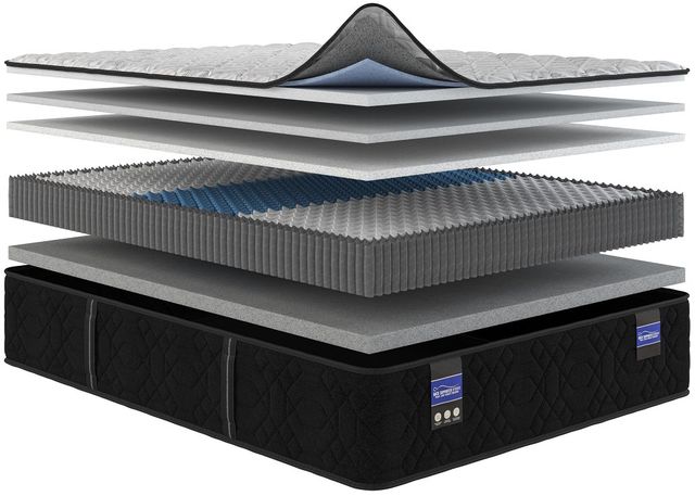 Spring Air® Back Supporter Amelia 12" Hybrid Plush Tight Top Queen Mattress-2