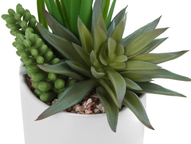 Monarch Specialties Inc. 2-Piece White 7" Tall Artificial Potted Succulent-2