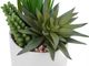 Monarch Specialties Inc. Assorted White 7" Tall Artificial Potted Succulent-2