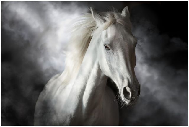 Classy Living Mystical White Horse Wall Art-0