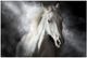 Classy Living Mystical White Horse Wall Art-0