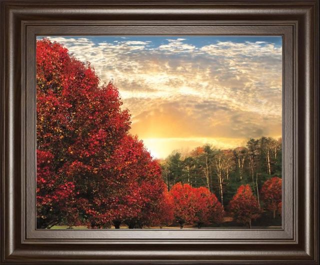 Classy Art Crimson Tress by Celebrate Life Gallery Framed Print Wall Art-0