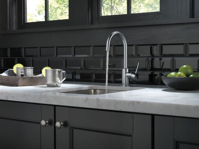 Delta Trinsic® Arctic Stainless True Bar Faucet with Limited Swivel-1