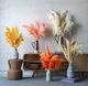 A & B Home Red/Orange Dried Natural Pampas Grass Bundle-4