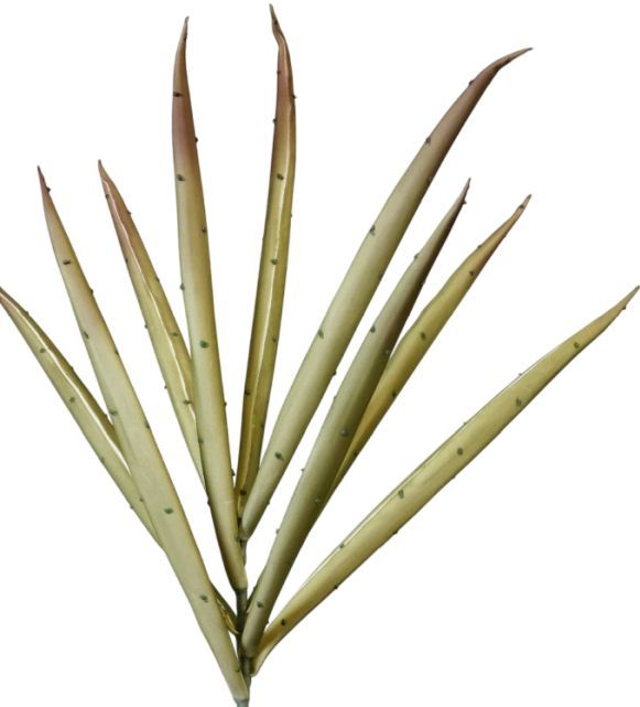 Harp & Finial® Yucca Stem Green Foam Floral-1