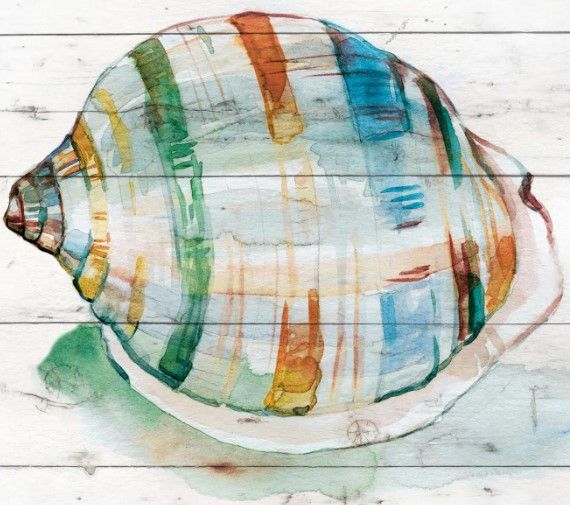 Classy Art Tye Dyed Shell I by Carol Robinson Wall Art-1