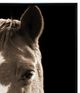 Crestview Collection Fayette 2 Brown Wall Art-1