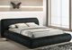 Furniture of America® Palmdale Black Queen Panel Bed-1
