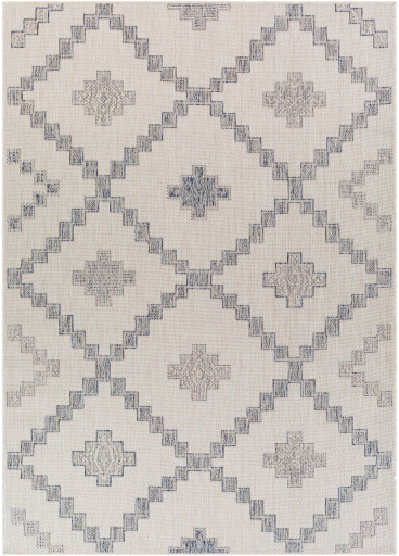 Surya Tuareg Blue/Off-White 8'x10' Area Rug-0