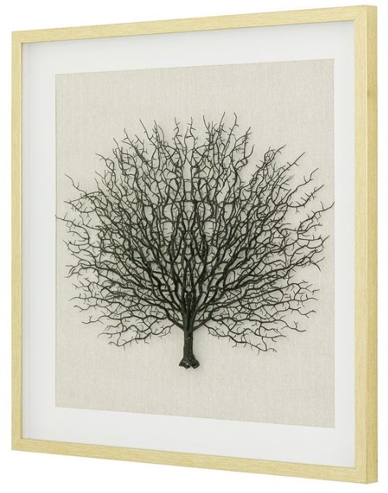 YHD Sea Fan Shadow I Wall Art-2