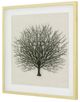 YHD Sea Fan Shadow I Wall Art-2