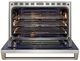 Wolf® 36" Stainless Steel Pro Style Induction Range-1