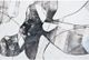 Renwil® Lockwell Grey Printed Art-2