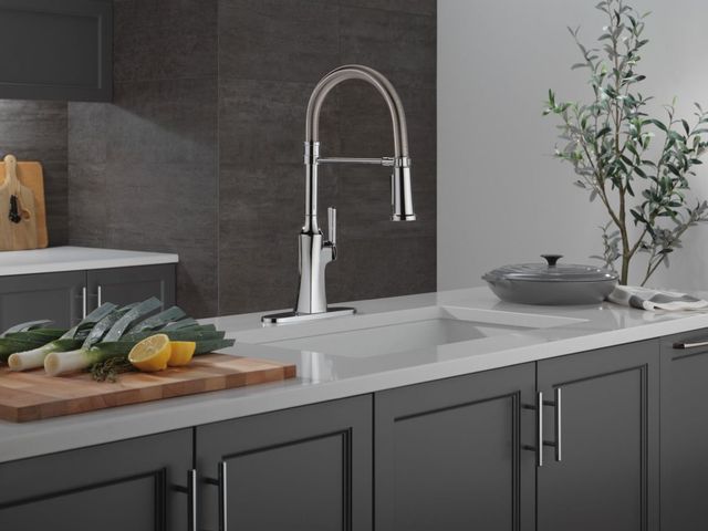 Delta Ermelo®  Chrome Single Handle Kitchen Faucet With Spring Spout -1