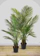 Le Present Areca Green Faux Botanical Palm-3