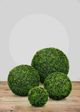 Le Present Boxwood Green Faux Botanical Ball-5