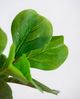 A & B Home Green Artificial Fiddle Fig Leaf Tree-1