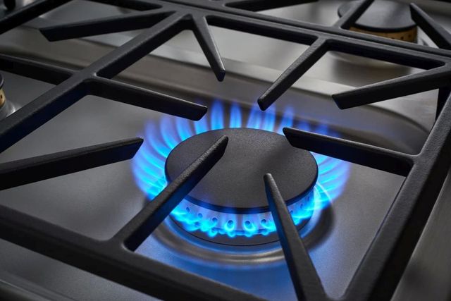 OUT OF BOX Dacor® Transitional Style Collection 36" Stainless Steel Gas Cooktop-1