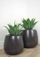 Le Present Belly Anthracite 15" Planter-5