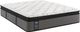 Sealy® Response Performance™ H5 Innerspring Cushion Firm Euro Pillow Top Twin XL Mattress-0