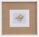 Bassett Mirror Neutral Shell Fresco Ill Framed Print-0