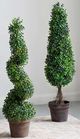 A & B Home Green Foot Tall Artificial Spiral Boxwood Tree-3