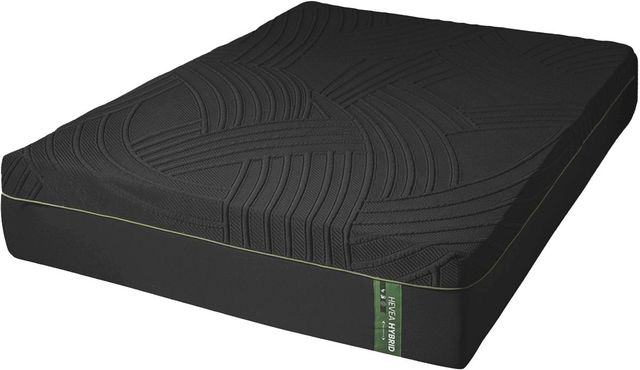 Dreamstar Bedding Genesis Collection Hevea 14" Hybrid Soft Smooth Top King Mattress-0