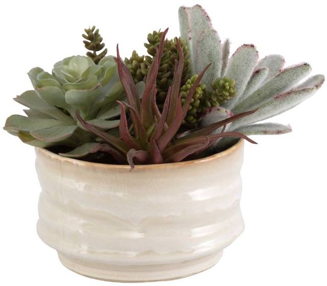Uttermost® Mesa Green/Tan Succulent Accent-0