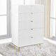 ACME Furniture Gaines White High Gloss Chest-2