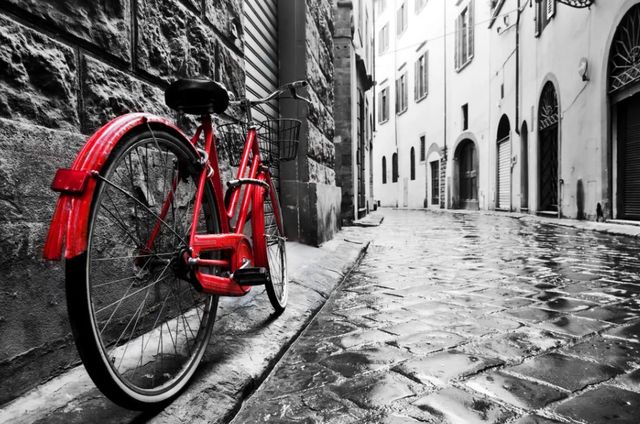 Classy Art Red Bicycle Wall Art-0