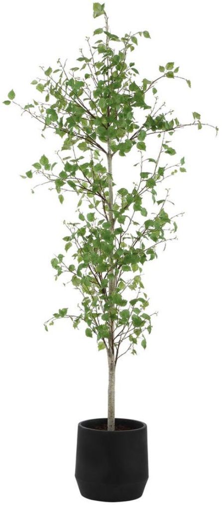 Uttermost® Boreal Aged Gray/Green Potted Birch Tree-3