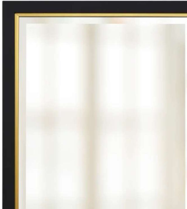 Stylecraft Black/Chrome Framed Beveled Mirror-1