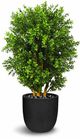 Le Present Green 27.5" Faux Botanical Boxwood Tree-0