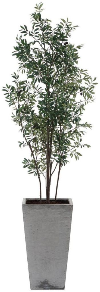 Uttermost® Sonora Gray/Green Olive Tree in Planter-3
