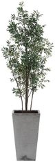 Uttermost® Sonora Gray/Green Olive Tree in Planter-3