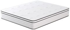 Furniture of America® Salvia 12" Hybrid Medium Firm Queen Mattress in a Box