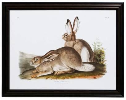 StyleCraft Cottage Hare II Wall Art-0