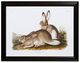 StyleCraft Cottage Hare II Wall Art-0