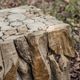 Uttermost® Teak Root Natural Bunching Cube-3