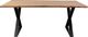 Porter International Designs Manzanita Natural Dining Table with Black X Base-1